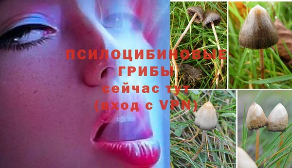 винт Балабаново